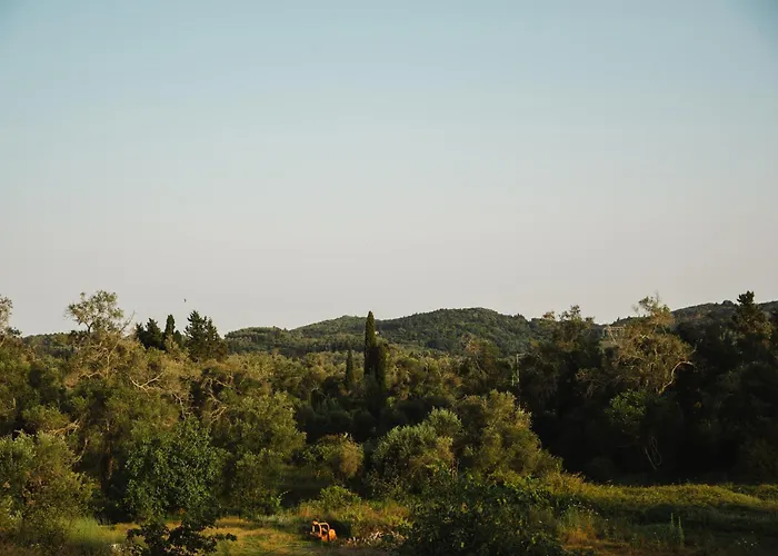 Dimitris House *