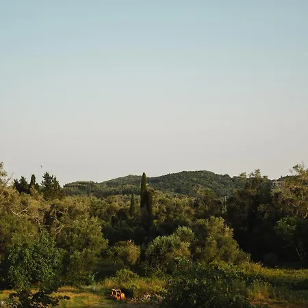Dimitris House *